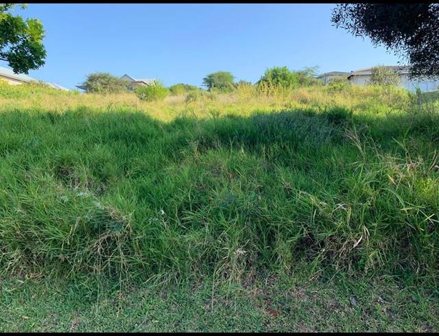 LAND FOR SALE IN ZINI RIVER ESTATE